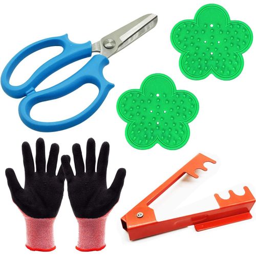 5 PCS Arrangement de Fleurs Roses,Sécateur à Jardin,Décapant à Roses en Plastique,Dissolvant D'épines en Metal et Gants de Jardin pour L'arrangement de Fleurs de Jardinage.[Y128]