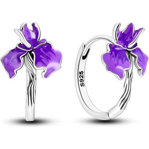 Boucles D'oreilles Femmes Argent 925 Sterling Coloré Coeur Hoops Plumes Hoop Cross Hoop Petits Hoop Boucles D'oreilles Huggie Femmes Hoop Boucles D'oreilles.[Y285]