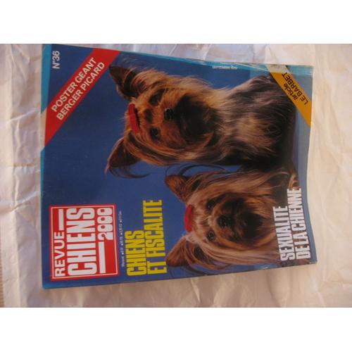 Revue Chiens 2000 N° 36 : Chiens Et Fiscalité - La Sexualité De La Chienne - Le Barbet