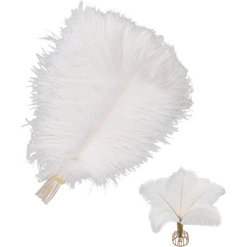Kyaoayo-Plumes Dautruche 10 Pièces Plumes D'autruche Naturels 25¿30 Cm Plume Décoration Plumes Blanc Pour Maison Décoration Costumes Mariage Fête Décoration Embellissement