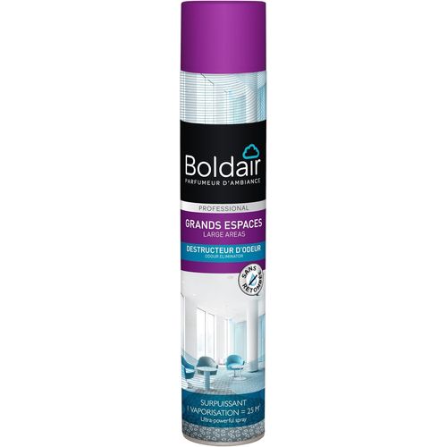 Kyaoayo-Grands Espaces - Destructeur Odeur - Pulvérisation Sèche - Parfum Concentré - Vaporisation Surpuissante - Espaces 25m2 - 750 Ml - Fabrication França 