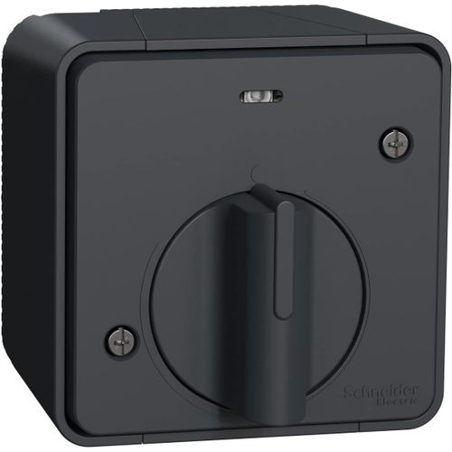 KYAOAYO-Mur35067 Mureva Styl - Interrupteur Temporisé Led - Saillie - Ip55 - Ik08 - Gris Inter Tempo Gris Saillie