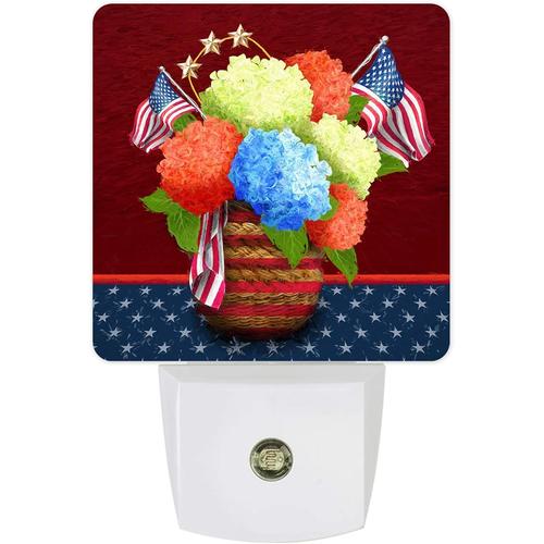 Etoiles Plug-In Led Veilleuse Drapeau Americain Fleur Hortensia Etoiles Peinture A L'huile Du Crepuscule A L'aube Capteur De Mouvement Lampe De Nuit Pour Chambre Cuisine Couloir Escaliers