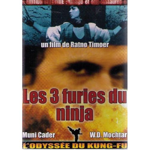 Les 3 Furies Du Ninja