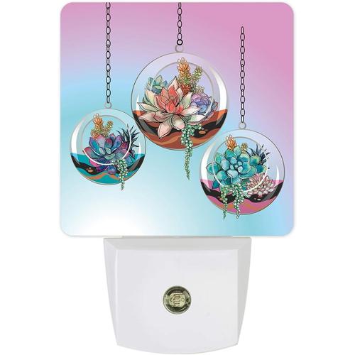 Veilleuse Led A Brancher Cactus Succulents Dans Une Boule De Verre Lampe De Nuit Avec Capteur De Mouvement Du Crepuscule A L'aube Pour Chambre A Coucher, Cuisine, Couloir, Escaliers