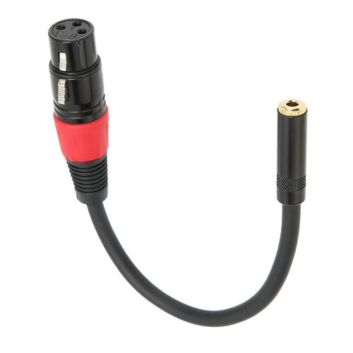 3.5mm vers XLR Femelle Câble Professionnel Mini Jack Microphone Convertisseur Fil pour Caméra OrdinateurXLR Femelle vers 3.5mm Femelle 1m