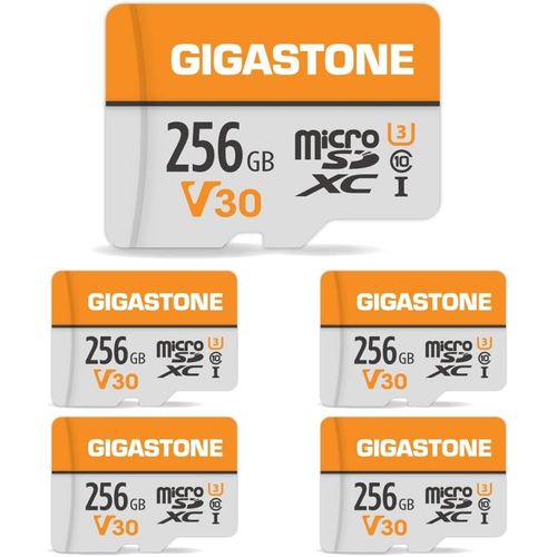 Carte Mémoire 256 Go Lot De 5 Cartes, Compatible Avec Gopro Drone Caméra Tablette Samsung Sony, Haute Vitesse Pour 4k Uhd Vidéo, A1 U3 C10 Carte Micro Sdxc Avec Mini Étui Et Adapta[Gop6254844]-Old Jamaica Ginger Beer