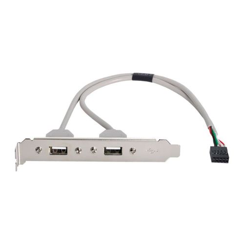 KALANKA-Câble multiplicateur de carte mère 9 broches 1 vers 2 ports USB 2.0 40 cm avec support PCI 120 mm