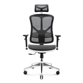 Diablo V-Basic Chaise De Bureau Ergonomique Maille Respirante 3d Accoudoirs Réglables (Blanc-Noir)