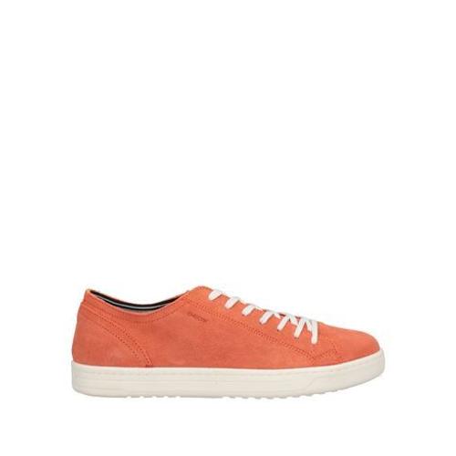 Geox - Chaussures - Sneakers - 46