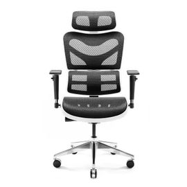 Diablo V-Commander Chaise De Bureau Ergonomique Accoudoirs 3d Soutien Lombaire Appuie-Tête Siège Réglables Tissu De Filet Blanc-Noir