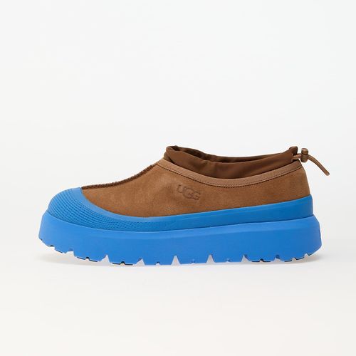Baskets Ugg M Tasman Weather Hybrid Cbg Eur 39