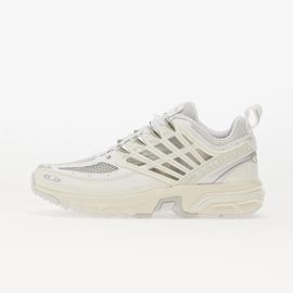 Baskets Salomon Acs Pro Ice/ Lunar Rock Eur