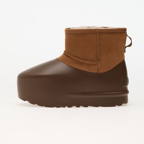 Baskets Ugg W Classic Mini Pumped Molded Chestnut Eur