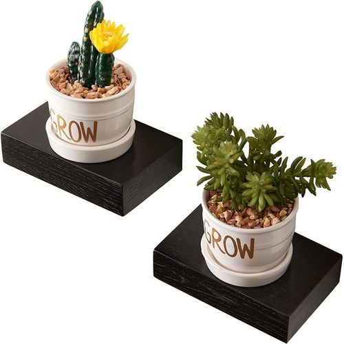 Set di 2 Petites Etagère Murale en Bois, Noir Flottante Etagere Murale Chêne pour Décoration de Plantes