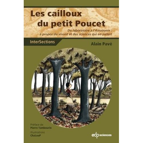 Les Cailloux Du Petit Poucet