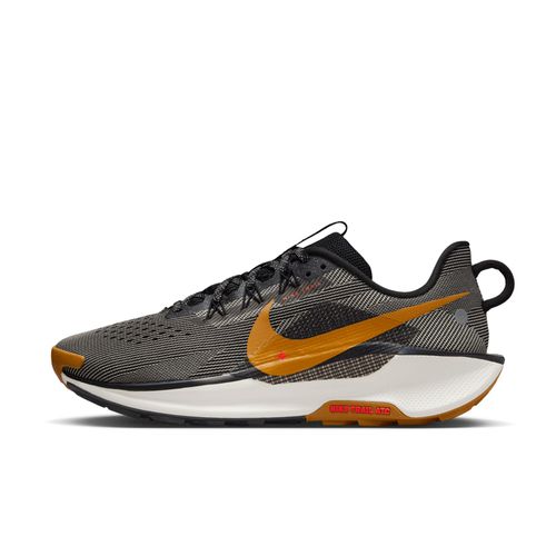 Chaussures De Trail Nike Pegasus Trail 5 Pour Noir