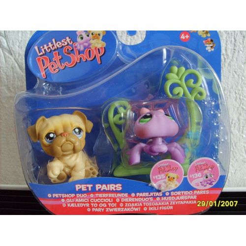 Bouledog Et Araignée - Petshop
