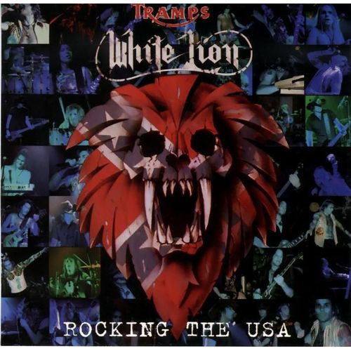 Rocking The Usa