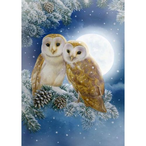 Kit De Broderie Diamant Carr¿¿ 5d Diy - 30 X 40 Cm ¿¿ Faire Soi-M¿ºme, Peinture Num¿¿Rot¿¿E Adulte Au Point De Croix Pour Loisirs Cr¿¿Atifs Motif Hibou