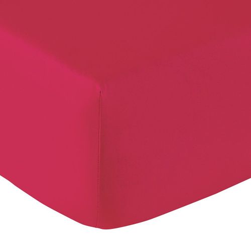 Drap Housse Coton Framboise 140x200 Cm