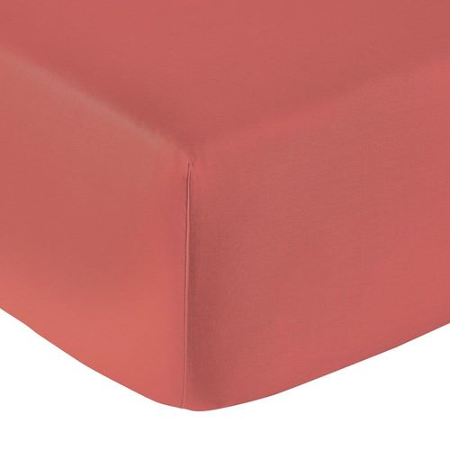 Drap Housse Coton Terracotta 140x190 Cm