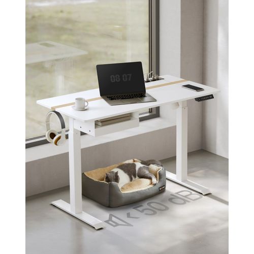 Bureau Assis-Debout Électrique Effet Bois Blanc