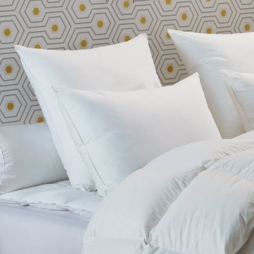 Oreiller 30% Duvet De Canard Proneem - Ferme 65x65 Cm