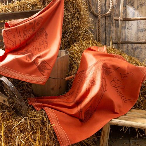 Torchon En Coton Orange 50x75