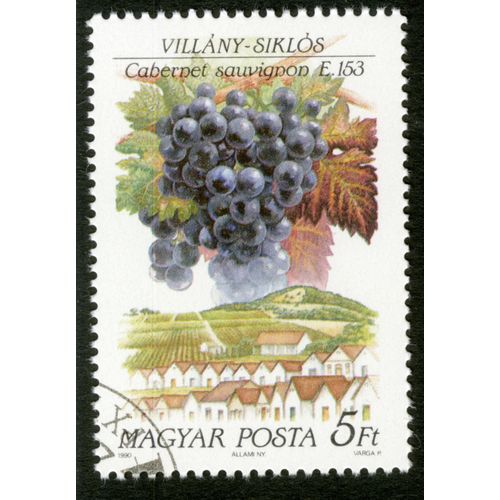 Timbre Oblitéré Magyar Posta, Villany-Siklos, Cabernet Sauvignon E 153, 1990, 5 Ft