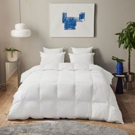 Couette Premium - 30% Duvet - Chaude 220x240 Cm