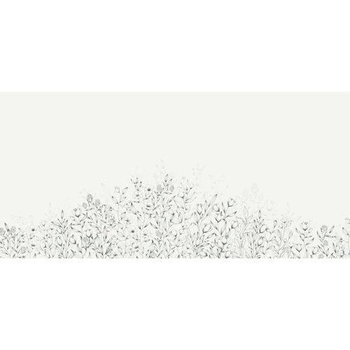 Papier peint panoramique poésie végétale noir et blanc 225x250cm