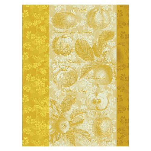 Torchon En Coton Golden 60 X 80