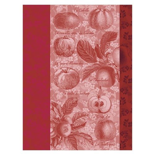 Torchon En Coton Reinette 60 X 80