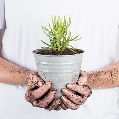 Pot fleurs zinc 13 cm gris