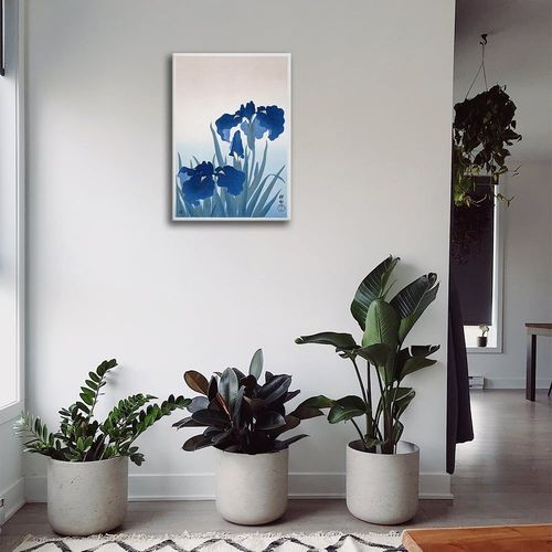 Tableau - Iris - Ohara Koson 60x90cm