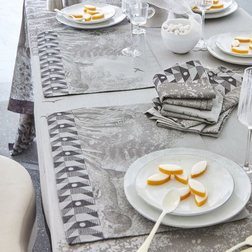 Set De Table En Coton Argent 50 X 36