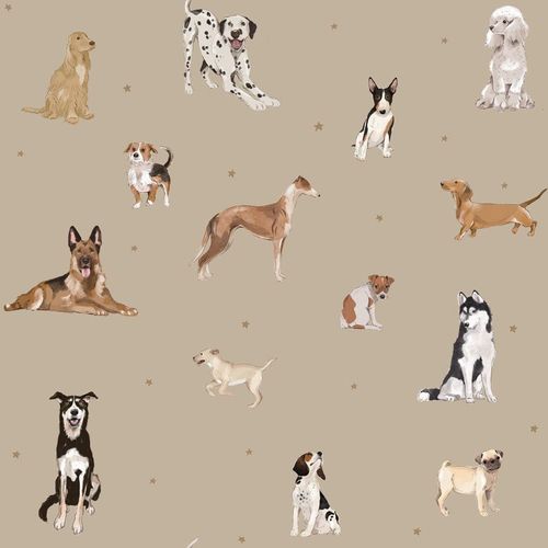 Papier peint chiens beige 100x280cm