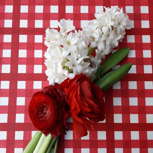 Nappe En Coton Enduit Rouge Rectangle 160 X 300 Cm