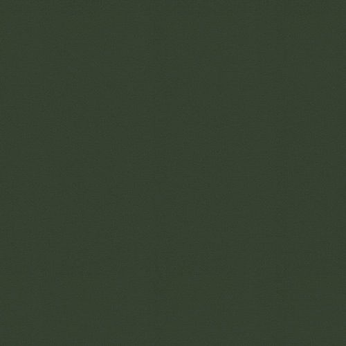 Papier peint intissé uni feuilles élégance vert 1005x52cm