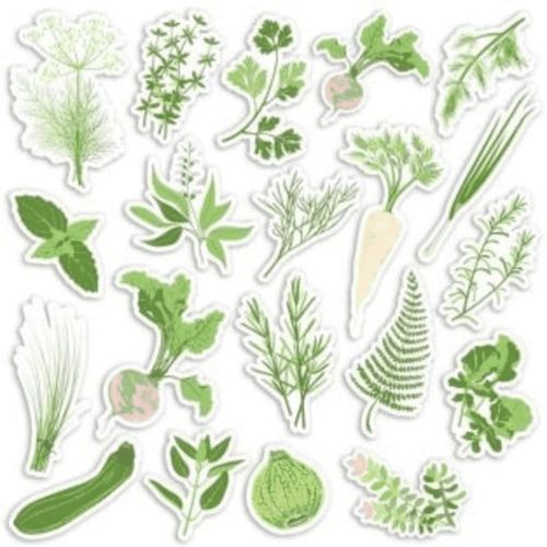 20 Formes Découpées Potager