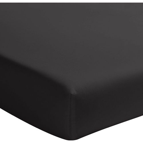 Drap Housse Percale De Coton Noir Minuit 140x190 Cm