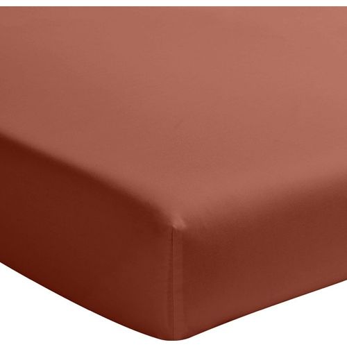 Drap Housse Percale De Coton Terracotta 140x190 Cm