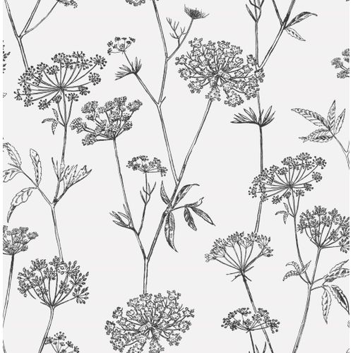 Papier peint intissé fleuri gravure noir écru 1000x53cm