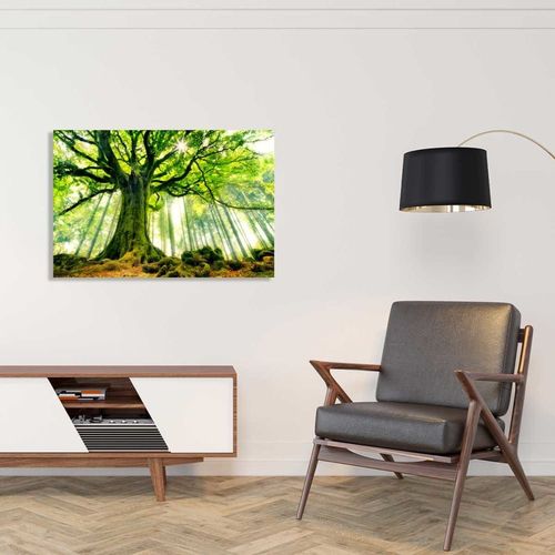 Tableau nature l 'hêtre de ponthus impression sur aluminium 90x60 cm