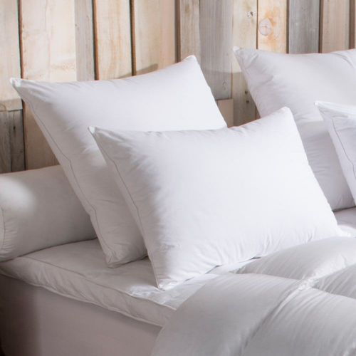 Oreiller 90% Duvet D'oie Medium 60x60 Cm