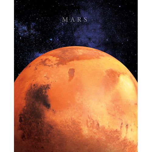 Tableau sur toile Mars 40x50