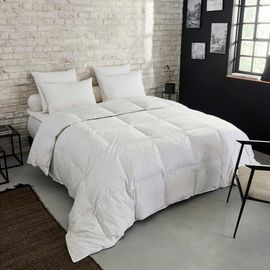 Couette Premium Naturelle Tempérée - 30% Duvet 200x200 Cm