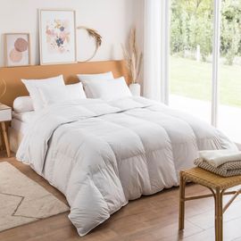 Couette Jade Chaude - 40% Duvet 240x260 Cm