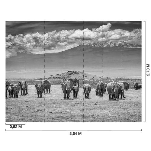 Papier peint éléphants devant le Kilimanjaro 364x270 cm